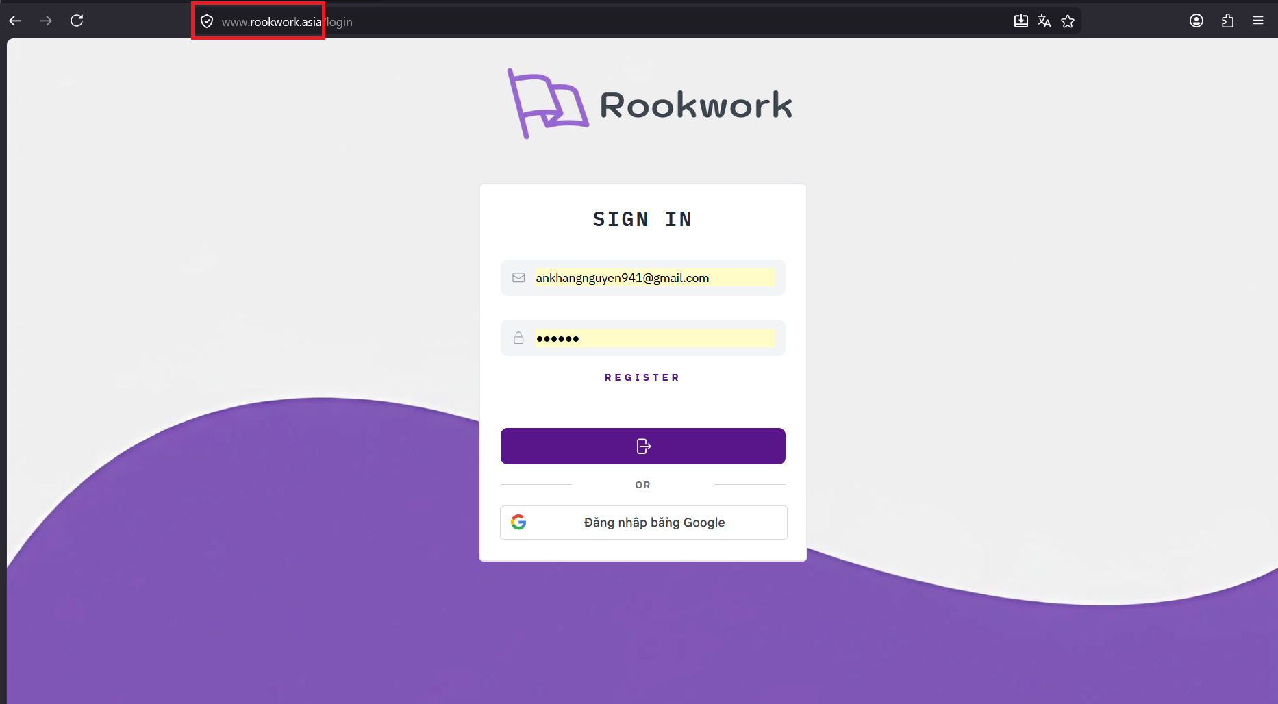 A DNS record created successfully by Route 53