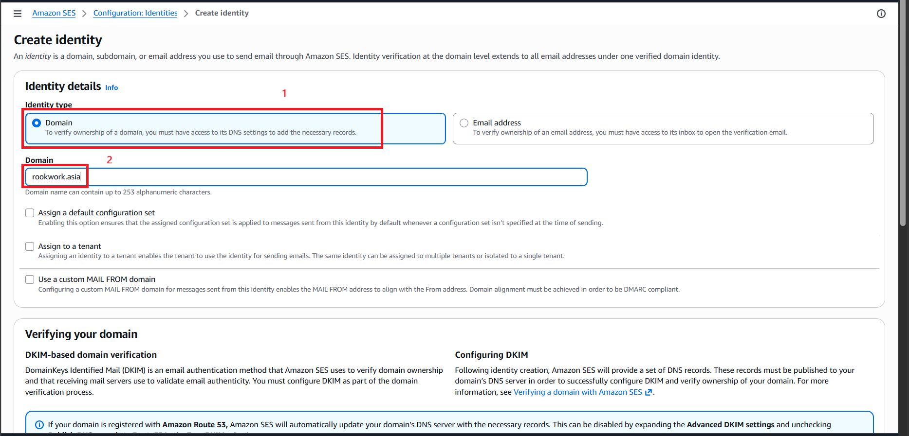 Enter Domain Name and Configure DKIM